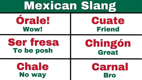 mexican insults slang|50 Mexican Slang Words & Phrases You Should Know (Including .